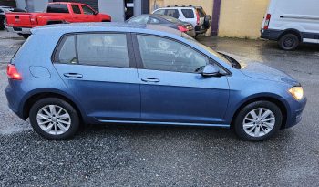 
										2016 Volkswagen Golf full									